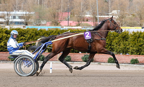 Viime vuoden Vermon menestyjä Federal Hill muutti jo etujoukoissa Seinäjoelle. 