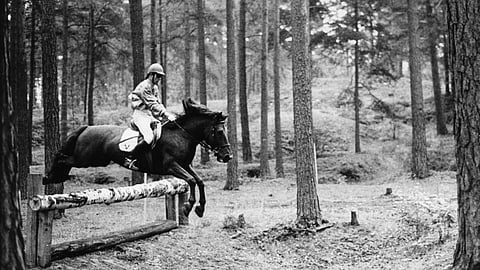 Veli-Pili, maastoratsu jumalan armosta. 