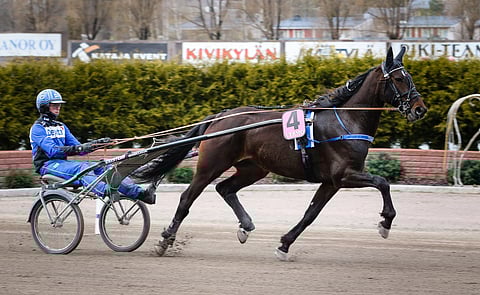 Team Vermon tämän hetken edustajista toinen, Bolt Kronos vakuutti Riksun kauden avauksessa. 