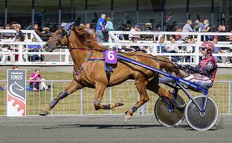 Jontte Junior on kauden avauskilpailussaan mielenkiintoinen seurattava. Kuvassa ohjissa on Santtu Raitala, mutta Lappeessa ruunaa ajaa Jani Ruotsalainen.
