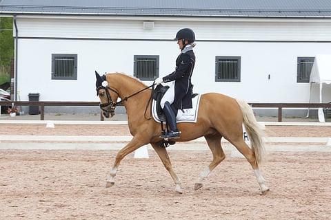 Minion Verde on ongelmaisena Keski-Euroopasta tullut, alunperin Suomessa syntynyt ratsuponi, jonka korjausratsastus on toiminut niin hyvin, että Anna Kärkkäinen suunnittelee sen kouluttamista samantien grand prix'hin. 