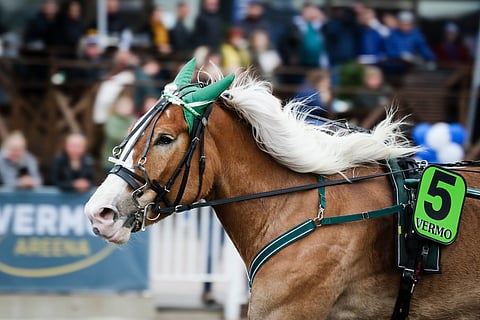 Sirpsakka aloitti valmistautumisen ensi kauteen.