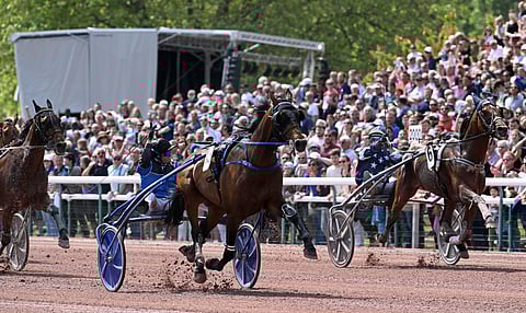 Etonnant voittaa Prix des Ducs de Normandien varmasti.