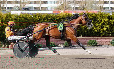 Always Readyn tämä kausi ei ole tuottanut toivottua tulosta.