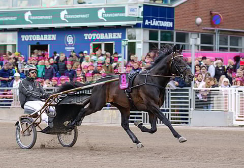 Don Fanucci Zet starttaa Prix d'Ameriquessa.