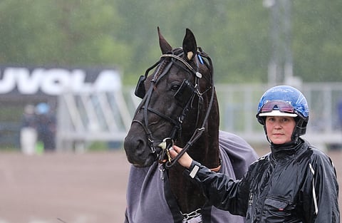Hanna Rakkolainen toimi Hotshot Lucan hoitajana sen kilpaillessa Pekka Korven valmennuksessa.