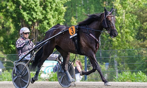 An-Dorra päättää pitkän taukonsa ensi viikon torstaina.