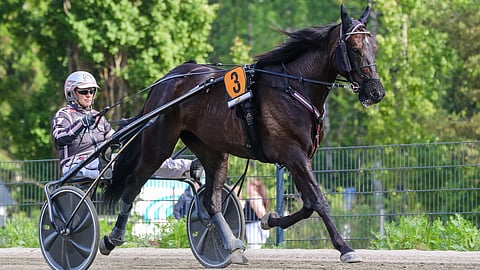 Antti Teivainen ohjasti An-Dorraa ensimmäisen kerran viime vuoden marraskuussa ja viimeksi Killerin Eliitissä.