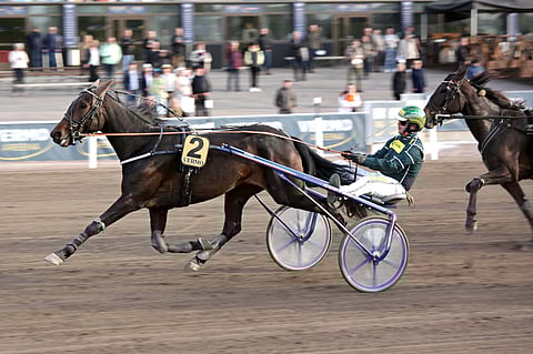 Condesa otti vajaa kuukausi sitten Vermossa uran toisen voittonsa.