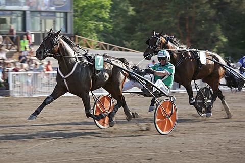 Power Blaster hurjasteli Vermossa viime kesäkuun lopulla ennätyksensä 11,2aly Antti Veteläisen tallista.
