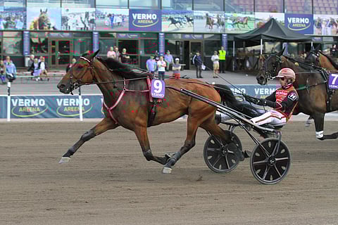 Like Di Serafino on tasavarma rahankerääjä.