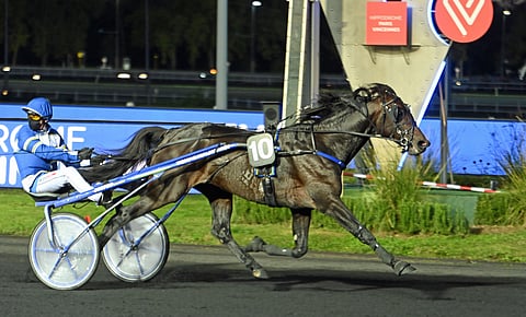 Calle Crown on saanut kovuutta Ranskan lähdöistään.