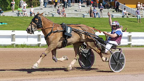 Jouko Tarvainen odottaa ailahtelevalta Disainilta hyvää suoritusta. Siis mikäli tamma on noussut aamulla oikealla jalalla.