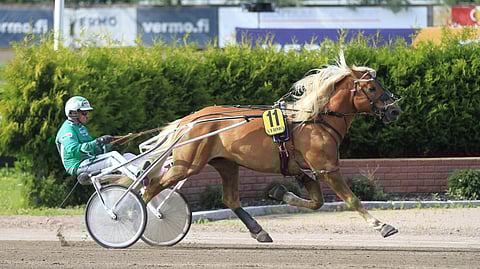 Vilberth voitti Vermossa viime keskiviikkona ja on nyt vihjerivin ideavarma Jyväskylän päätöskohteessa.