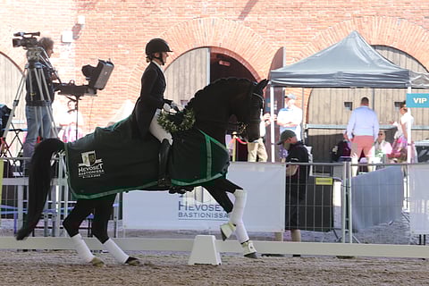 Ryhdikkyyttä koko rahan edestä.  Sir Fashion esiintyi edukseen. 