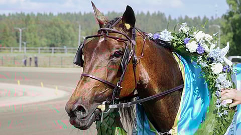 Next Direction seppelöitiin Killerin Eliitin voittajana.