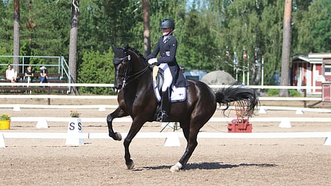 Susanna Therman ja Dragonheart vuoden 2021 NBCH:ssa Ypäjällä.