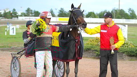 Dream Girl oli Ilkka Tyynelän huutokauppalöytö Tanskasta.