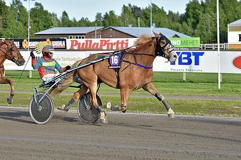 Jani Suonperän ohjastaman Yrjänän Mohikaanin edellinen täysosuma oli vuodelta 2018. Silloin 7-vuotias ruuna kilpaili Suonperän treenissä.