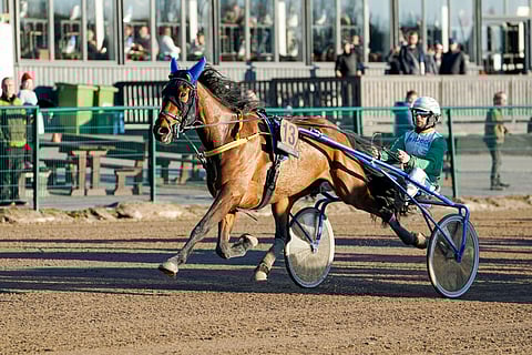 Just A Flirtilla on kuukausien sairasloma edessään.