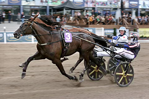 Dusktodawn Boogie piti maalisuoran taistossa Magic Madonnan takanaan.