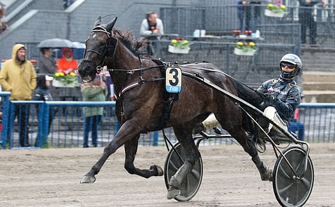 An-Dorra Kouvolassa kesällä 2022. 