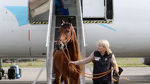 Claudia Grift talutti Diamant de Larren ulos lentokoneesta perjantaina.