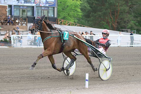 Santtu Raitalan ohjastama Over My Shoulder karkasi keulapaikalta kilpasiskoiltaan.