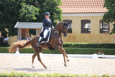 Stella Hagelstam ja Mount St John Kom Fairy Tale Flyingessä PM-kilpailuissa. 