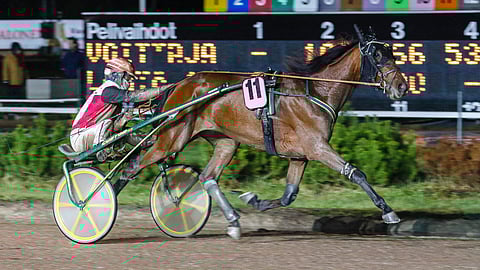 Rivin ideavarma on Alien Hill. Porissa tammaa ohjastaa Olli Koivunen.