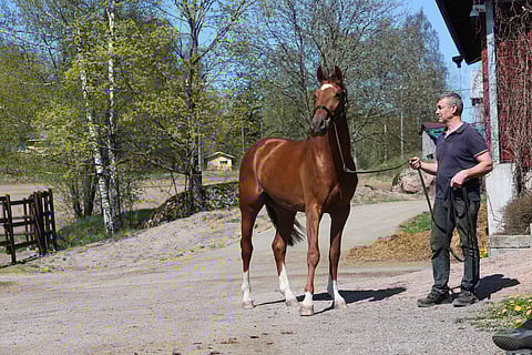 Baloutelli ja Kimmo Helasuo.