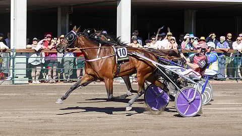 Global Withdrawl kiri hurjasti lämminveristen päälähdön ykköseksi viime kesänä PowerParkin juhannusraveissa.
