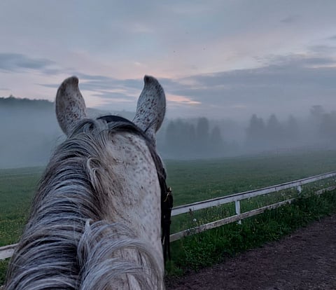 Kolumni: Kesäyön on onni omanani