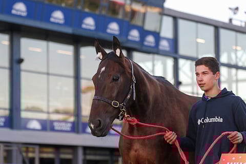Whole Lotta Love esittäytyi eilen kouvolalaisyleisölle hoitaja Maxime Daugeardin kanssa.