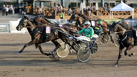 Eero ja Martti Patrakan sekä Heikki Suurosen omistama Salam Aleikum punnersi Derbyn Kesäsuosikin voittoon.