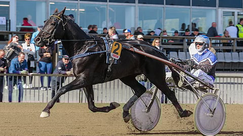 Jukka Konttinen kertoo Heros Du Monden kuulumiset tälle illalle.