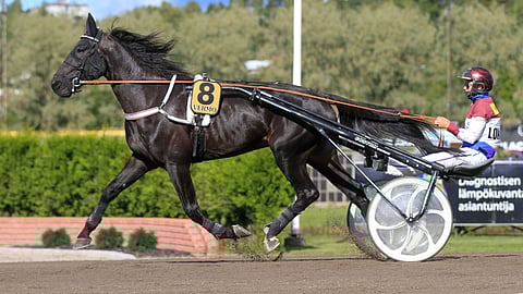 Janita Antti-Roikon valmentama Ashley Face on päivän avainhevonen.