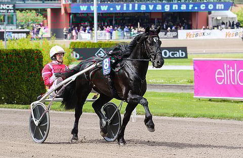 Månlykke A.M. tulee testaamaan Suomen parhaimmiston tason.