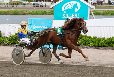 Kiitävä on jäänyt urallaan vain kahdesti totosijojen ulkopuolelle.