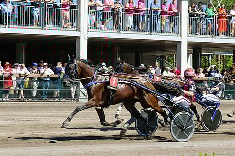 Main Stagen kausi käsittää 10 starttia, joista voittoja on tullut neljä.