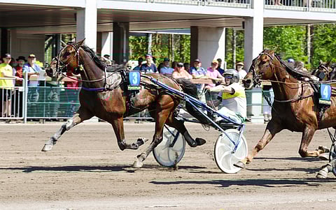 Ideavihjeessä luotetaan Markus Takaluoman Count Romeoon.