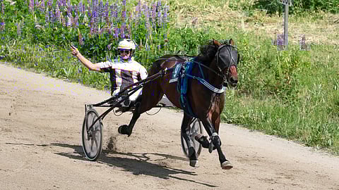 Tässä kuvassa Perry Breezer ottaa uransa ensimmäisen ja toistaiseksi ainoan voittonsa Kauhavalla 2020. Tuleeko tälle vihjeen ideavarmalle tänään uran toinen tolppa?