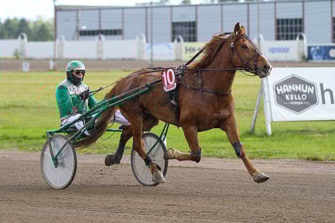 Arto Hammar ohjasti Hollauksen kauden avausvoittoon Forssassa.