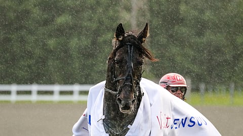Atupem on voittanut Joensuu-ajon jo kolmesti.