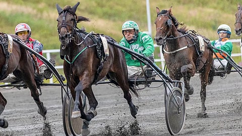 Special Gun on Seinäjoen Toto5-pelin suurin suosikki.