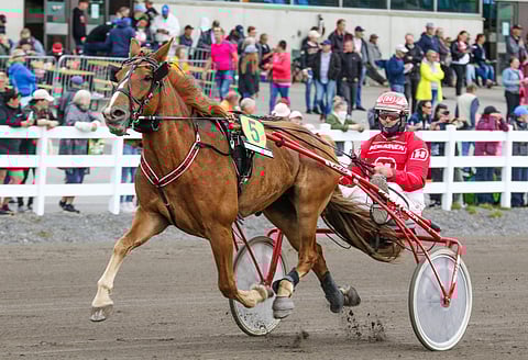 Piskon Pouta juoksi kesällä Mikkelissä ennätyksensä Jarkko Kervisen ohjastamana.