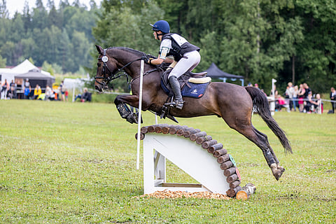 Daffodil's Flamenco, pitkästä aikaa. 