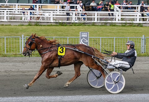 Aika-Vastus on ottanut uransa molemmat voitot Joensuusta.