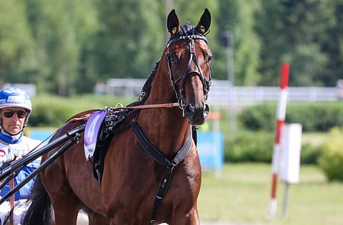Mr Stahlilla on riittänyt epäonnea viimeisen puolentoista viikon aikana.