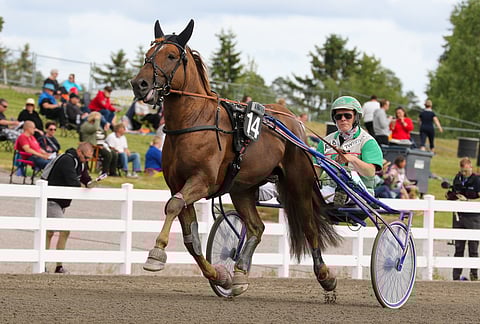 Sheikki vaihtoi valmentajaa.